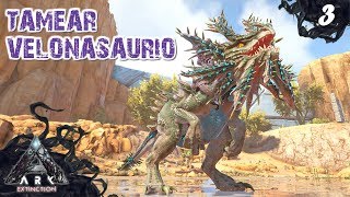 Tamear Velonasaurio solo  ARK EXTINCTION 3  Servidor Oficial PVE [upl. by Roybn]