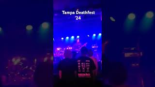 Tampa Deathfest 24 [upl. by Azmah]