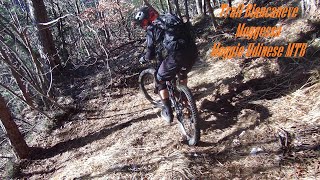 Trail Biancaneve Moggio Udinese MTB [upl. by Dearman]