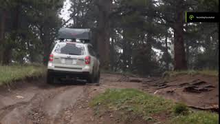 Lifted Subaru Forester  quotThe Goatquot Exhaust Noise 2 [upl. by Nisay]