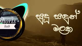 සුදු සදුන් මලක  sudu sadun malaka  slowed remix song remix song slowed oldsong viralvideo [upl. by Elna]