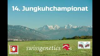 Jungkuhchampionat Thun 2022 MissWahlen Simmental [upl. by Shalne]