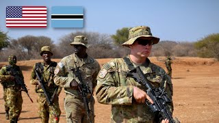 Basic Battle Drills with US Army amp Botswana Defense Forces  Southern Accord 2024 [upl. by Odlanar]