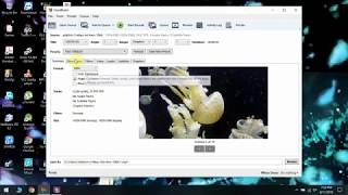 how to Convert 10 bit HEVC  x265  video to 8 bit MP4  x264  video using HandBrake [upl. by Lednyk]