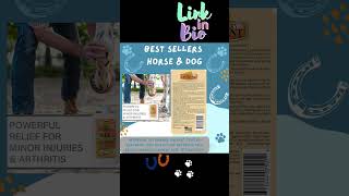 Best Sellers Horse amp Dog  Link in bio amazon pets pet horse amazonmusthaves amzonmustbuy [upl. by Ardnosak]