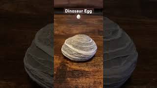 Fossilized Dinosaur 🦖 Egg 🥚 jurassicworld dinosaur [upl. by Henryk]