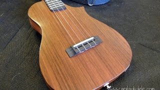 Got A Ukulele Review  Tinguitar Custom Solid Electro Tenor ukulele [upl. by Ihcekn]