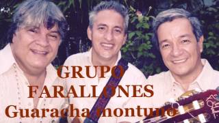 GUARACHA MONTUNO GRUPO FARALLONES [upl. by Dnalyr586]