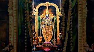 Venkateswara swamy suprabhatam shortvideo devotional govinda [upl. by Ainez291]