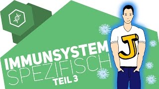 Spezifische Immunabwehr 3  Immunsystem [upl. by Dnomsaj430]