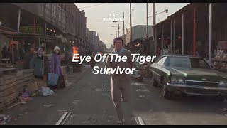 Eye Of The TigerSurvivor Letra en Español y Inglés [upl. by Charbonneau]