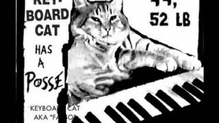 Keyboard Cat Has A Posse [upl. by Nauj]