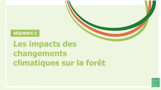 🥵 Les impacts du changement climatique sur la forêt 22 [upl. by Abas974]