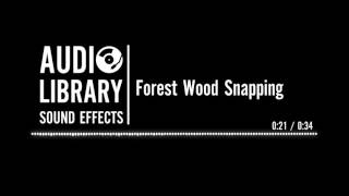 Forest Wood Snapping  Sound Effect [upl. by Joiner]