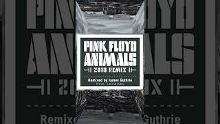 Pink Floyd AnimalsFINALLY shorts [upl. by Atiniuq]