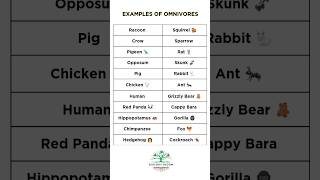 Examples of Omnivores  Omnivores consume both Flesh and Vegetables  Biology Bloom [upl. by Ariel]