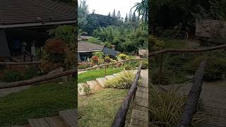 SVD FARM TAGAYTAY tagaytayhighlands4145 nature places [upl. by Irena]