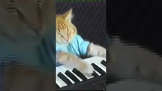 rip keyboard cat 1984 1987 😥 [upl. by Alric620]