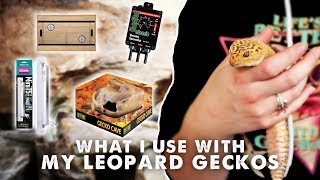 Everything I Use With My Leopard Gecko  Heating Lighting Substrate Tank etc [upl. by Oneil]