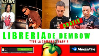 LIBRERIA DE DEMBOW  TYPE  LA SOMBRA X BABY R  GRATIS [upl. by Handy]