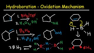 Hydroboration Oxidation Mechanism of Alkenes  BH3 THF H2O2 OH Organic Chemistry [upl. by Foulk]