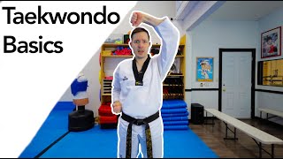 Taekwondo White Belt Basics👊 [upl. by Sualohcin973]