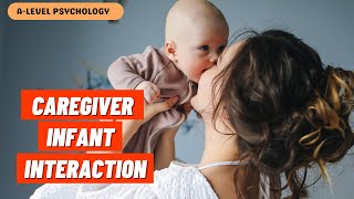 CaregiverInfant Interaction  Attachment  AQA Psychology [upl. by Asirb]