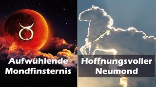 Livestream zur Mondfinsternis am 8 November 2022 [upl. by Woody]