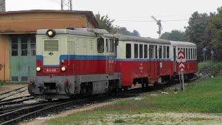 Kindereisenbahn  Childrens Railway Budapest 20140913 [upl. by Haldes]