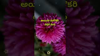 Jeevitha satyalu 1327  neethi vakyalu  manchi matalu  top matalu  telugu sukthulu  quotations [upl. by Larena]