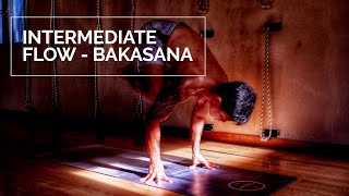 Yoga di Rumah  Bakasana Flow  Intermediate Flow Yoga [upl. by Nyraa]