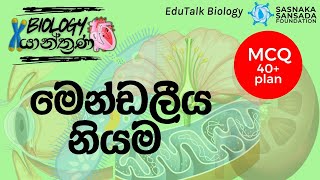 මෙන්ඩලීය නියම  Mendel’s Laws  EduTalk Biology [upl. by Lazes]