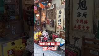 Kowloon walled City travel hkia trending shorts hongkong [upl. by Tterraj]