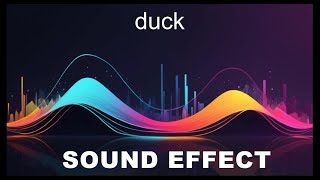 Duck Sound Effects  HD SFX 🎧 [upl. by Ozan724]