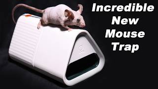 The GOODNATURE Smart Mouse Trap Is Incredible Technology Mousetrap Monday [upl. by Eleni]