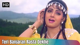 Teri Banjaran Rasta Dekhe  Banjaran 1991  Sridevi  Rishi Kapoor  Alka Yagnik  90s Hit Song [upl. by Eussoj915]