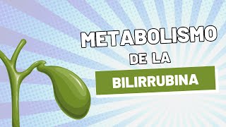 Metabolismo de la BILIRRUBINA explicado CLARAMENTE [upl. by Aihsikal]