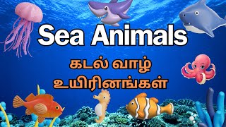 Sea Animals for Kids  Sea Animals Name  Water Animals  Kids Vocabulary seaanimals sskidstube [upl. by Yednarb]