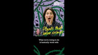 Plants that solve crimes [upl. by Yesor]