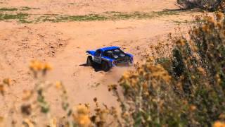 ECX RC Torment 110 2WD Brushless RTR SCT [upl. by Aitnic]