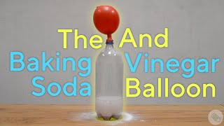 Baking Soda  Vinegar Balloon Experiment [upl. by Krute]