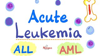 Acute Leukemia  ALL and AML  Hematology and Oncology Series [upl. by Asertal]