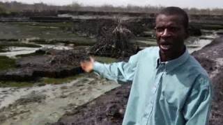 Niger Delta fish farmer remembers oil spill tragedy [upl. by Yrennalf9]