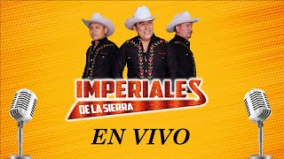 Mix Huapango Norteño Imperiales de la Sierra  EN VIVO [upl. by Acissaj]