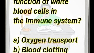 Function of WBCs shorts biology wbcs whitebloodcell mcqs viral foryoupage [upl. by Teodora]