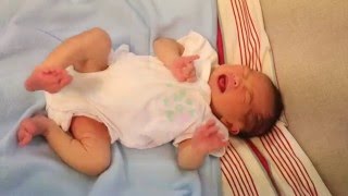 Newborn Baby Kicking and Crying [upl. by Aisirtap639]