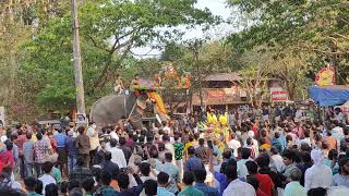 ചാലിശ്ശേരി പൂരത്തിന് ആന ഇടഞ്ഞു elephant attack chalissery cheeroth rajeev [upl. by Eckmann]