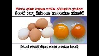 හොඳ නිරෝගී බිත්තරයක් තෝරගන්නෙ මෙහෙමයි  How to identify a healthy egg [upl. by Tteragram]