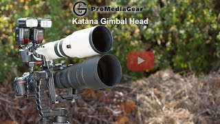 Best Gimbal Head for Action and Wildlife Telephoto Photography for Tripod [upl. by Elena]