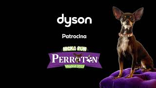 PERROTÓN MADRID 2023 NICKA RUN  SPOT PROMOCIONAL TELEVISIONES [upl. by Ieso129]